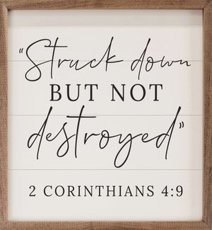 Struck Down 2 Corinthians 4 9 White